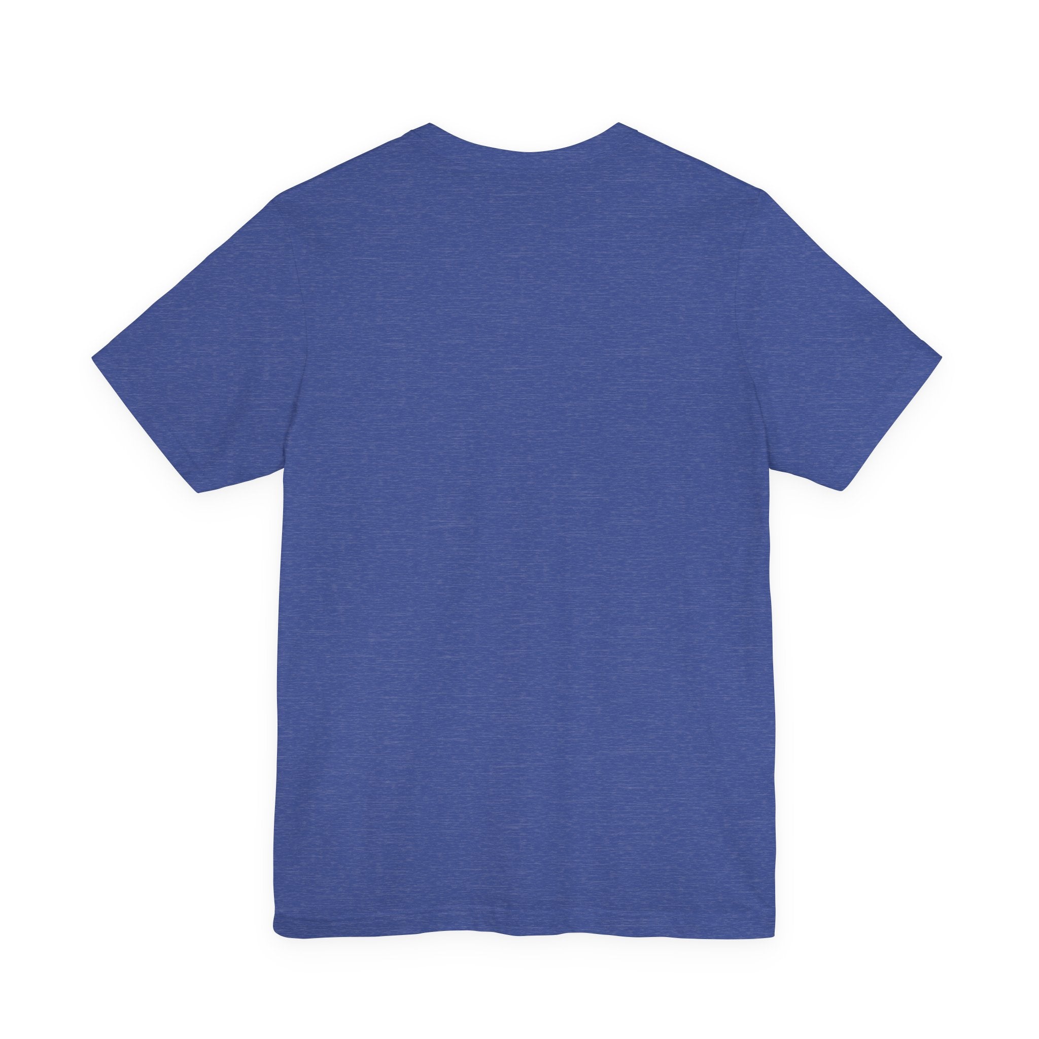 The Calm Energy Vibes T-Shirt — "I Run the Forecast" CEO Energy by Printify, a short-sleeve heather blue tee in ultra-soft Airlume cotton, is displayed flat and backward on a white background.